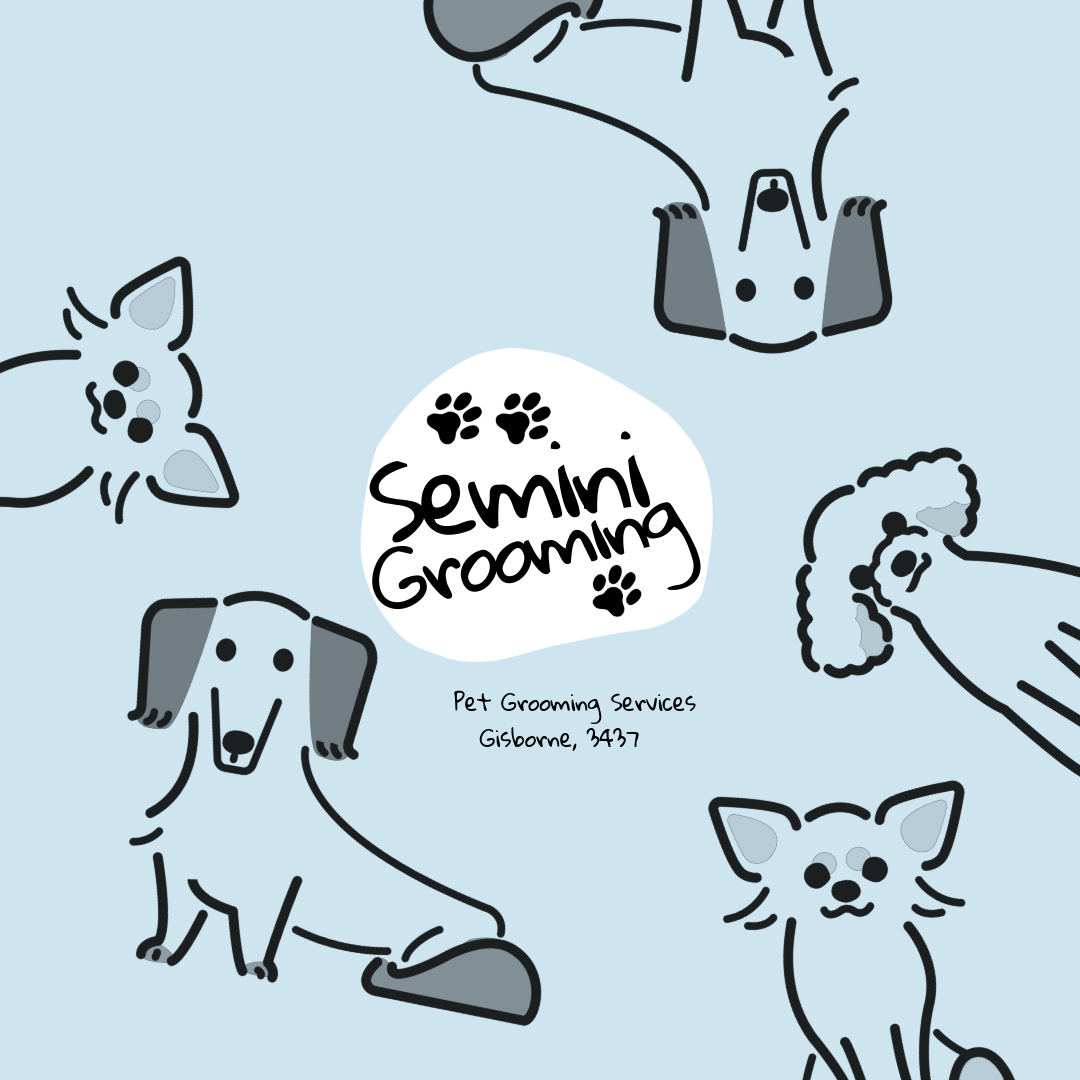 Semini Grooming cover